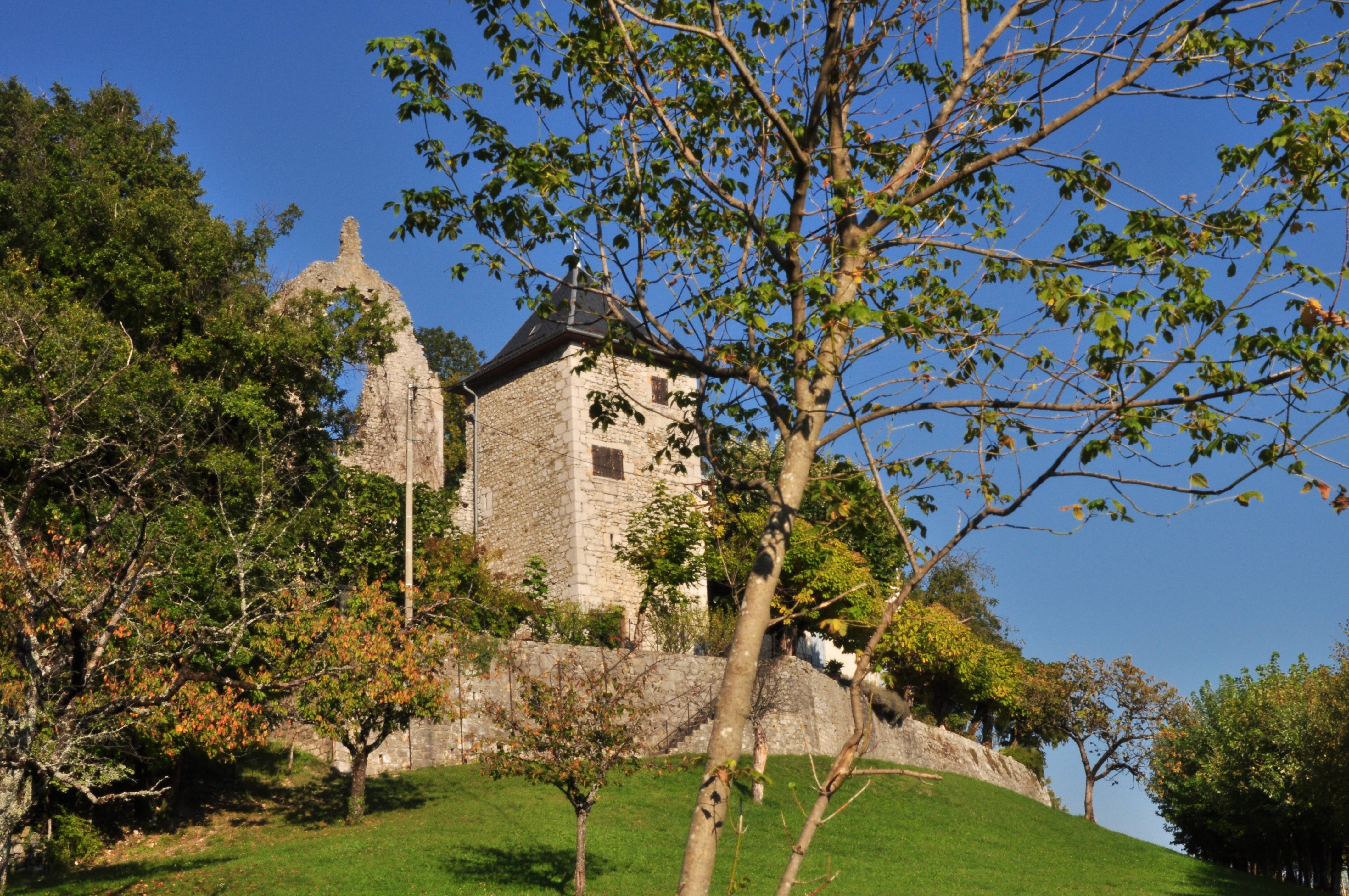 Photo de Maison forte du Chanay