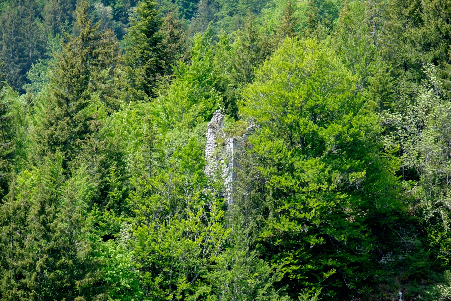 Photo de Château d'Entremont