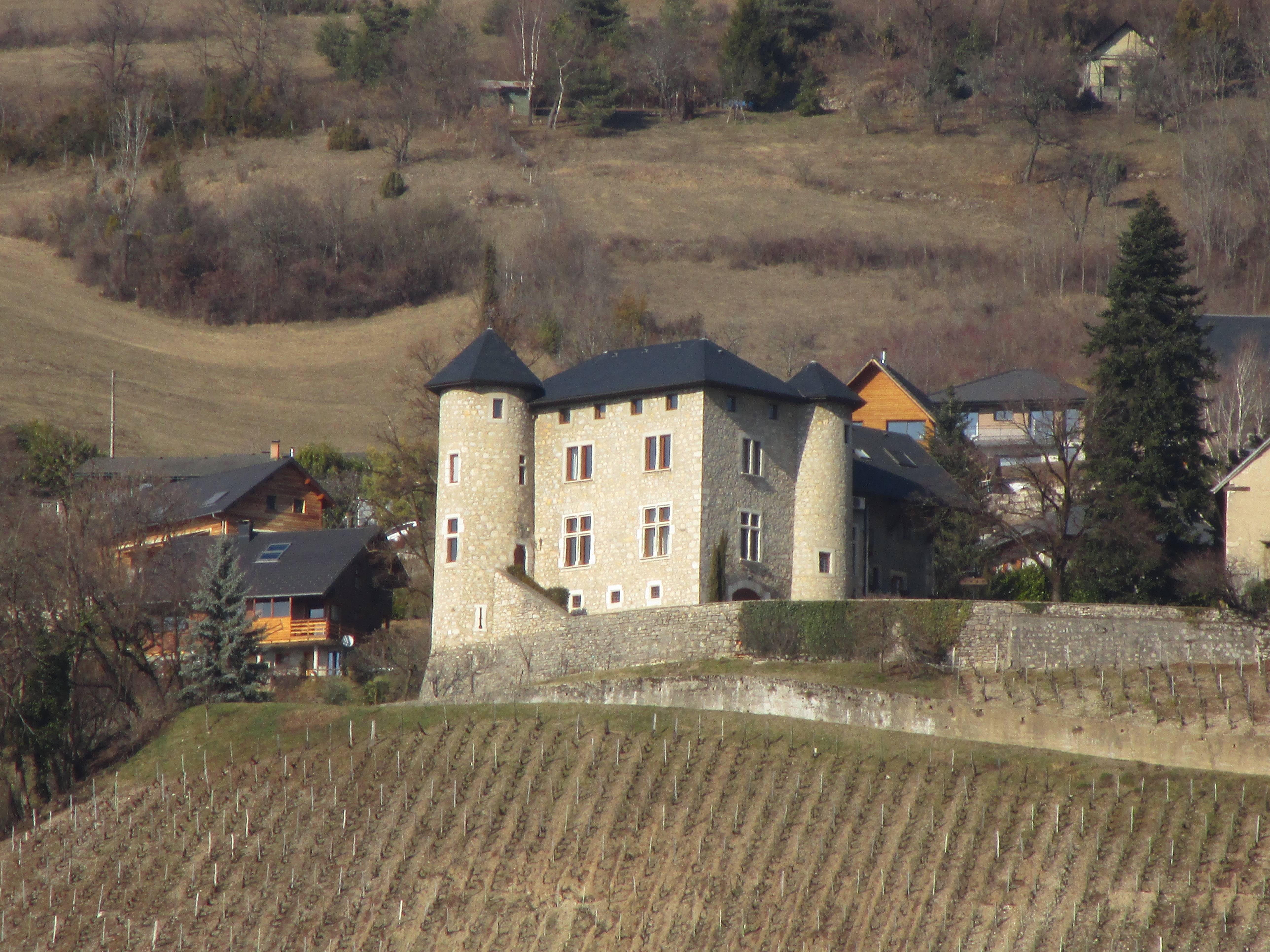 Photo de Château de Monterminod