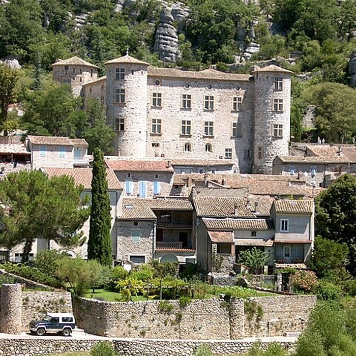 Photo de Château de Vogüé