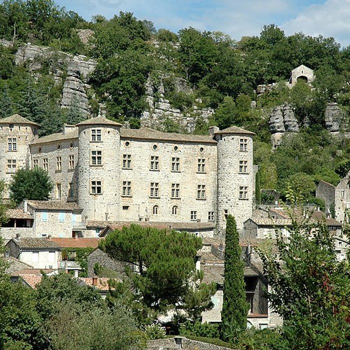 Photo de Château de Vogüé