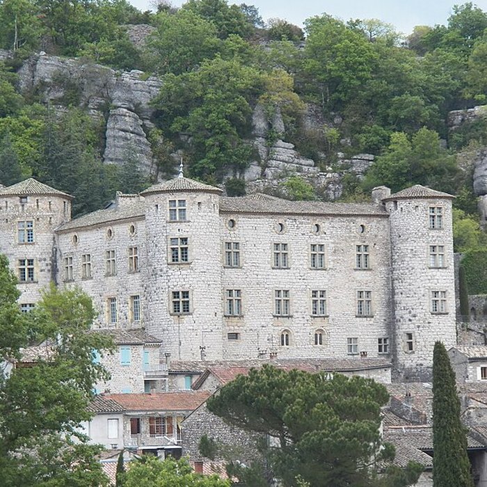 Photo de Château de Vogüé