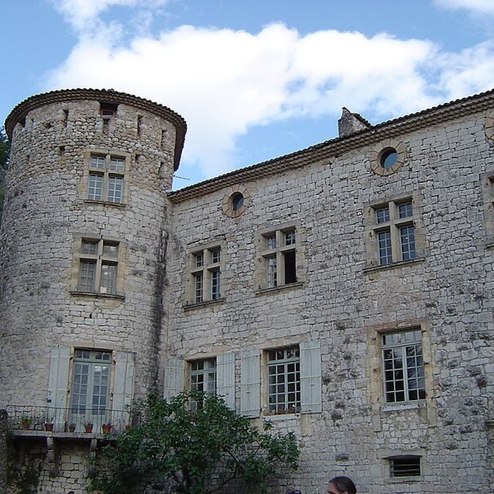 Photo de Château de Vogüé