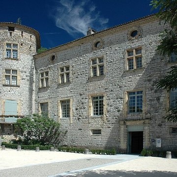 Château de Vogüé