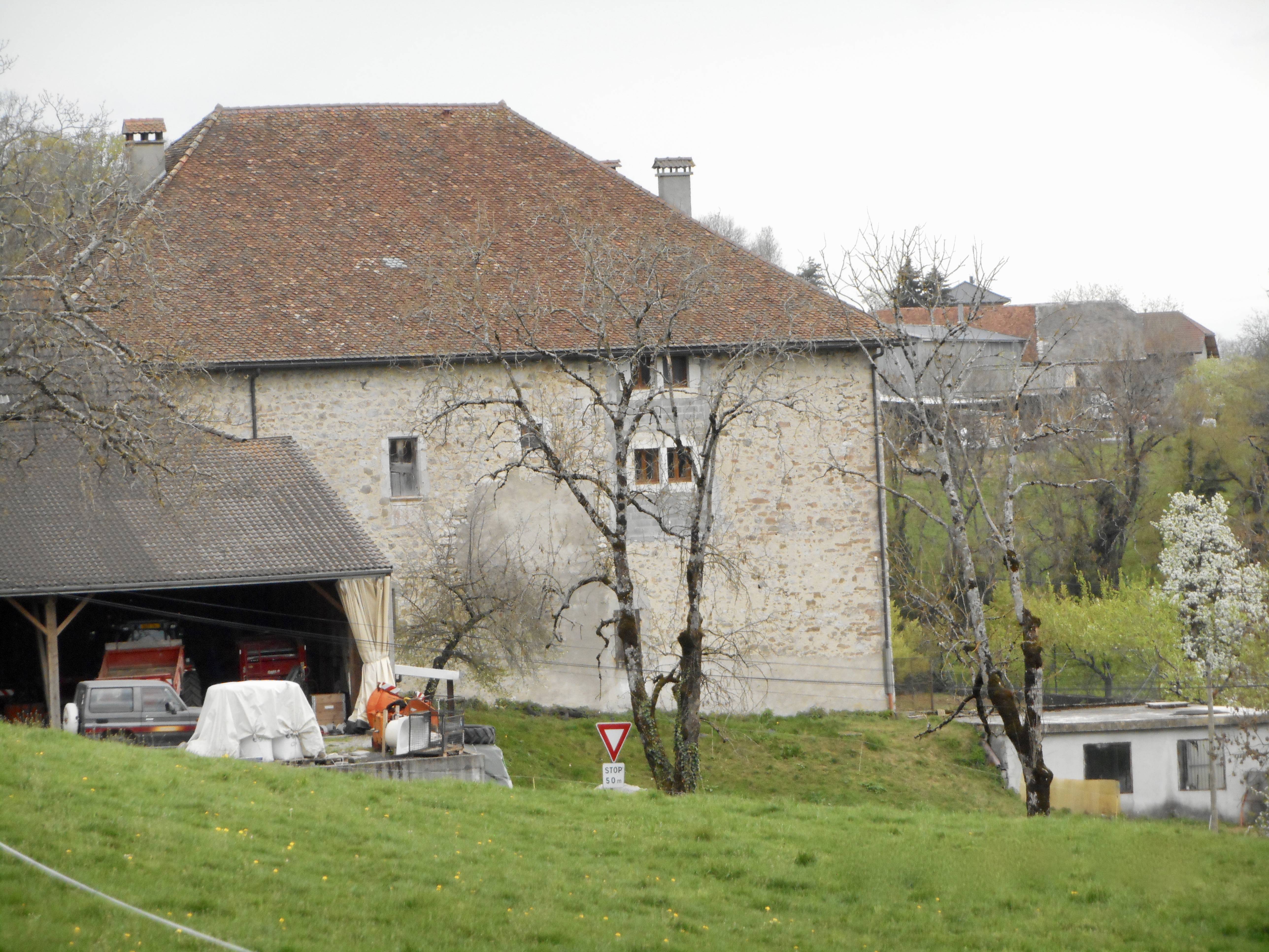 Photo de Château de Disonche