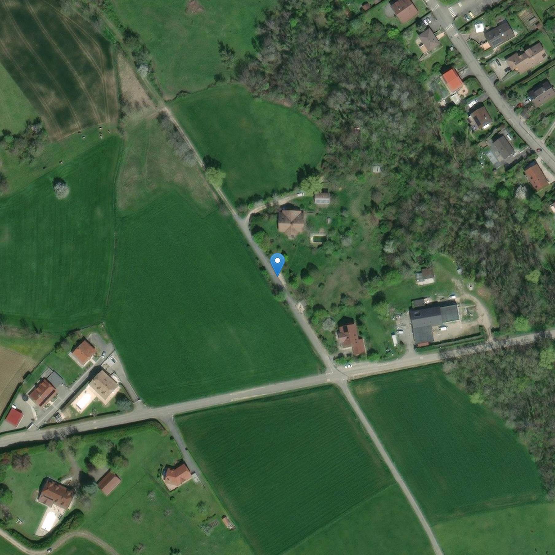 Photo de Castello di Montfort