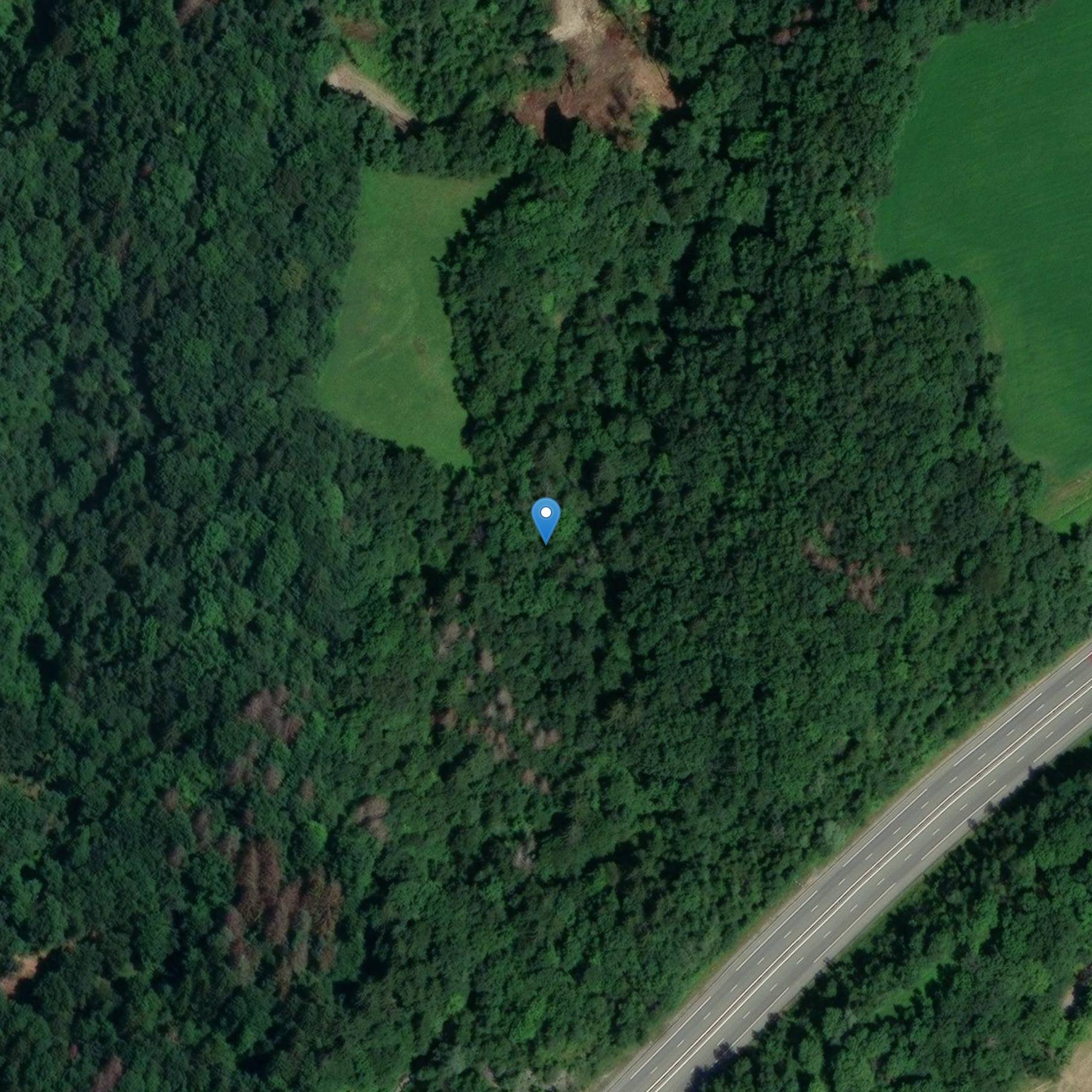 Photo de Castello di Soirié