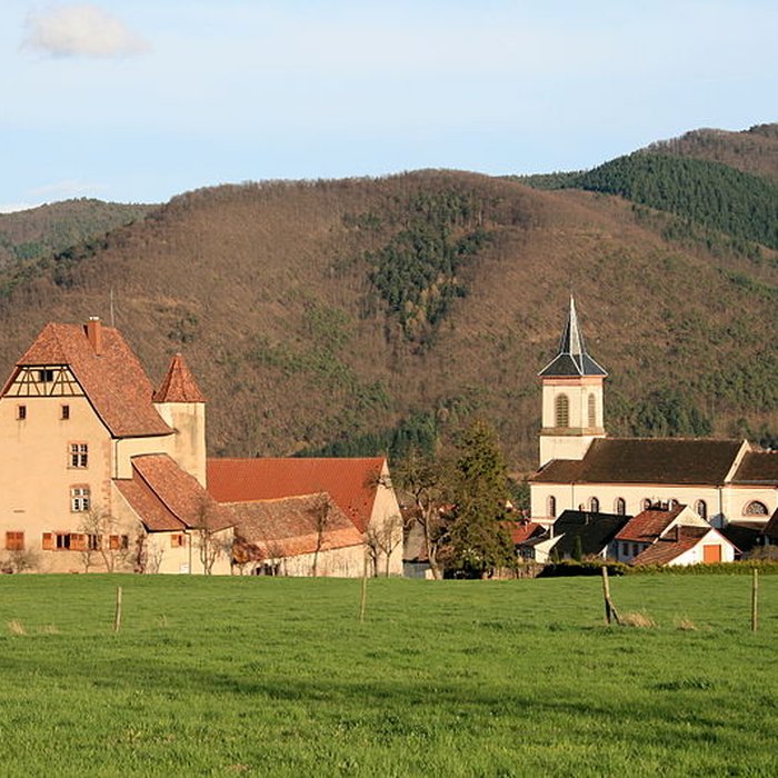 Photo de Château de Walbach
