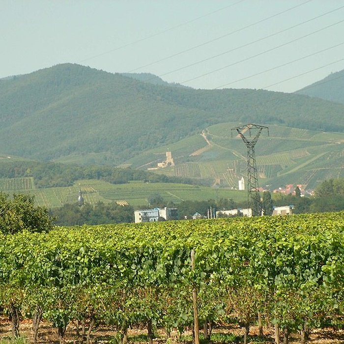 Photo de Château de Wineck à Katzenthal