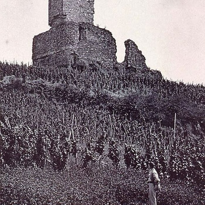 Photo de Château de Wineck à Katzenthal