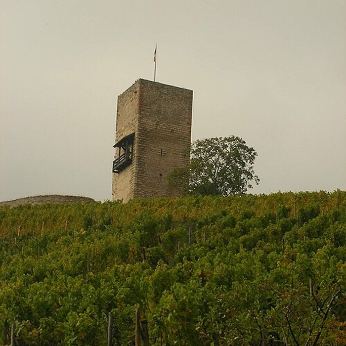 Photo de Château de Wineck à Katzenthal