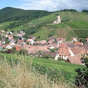 Château de Wineck à Katzenthal
