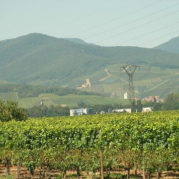 Château de Wineck à Katzenthal