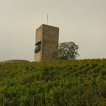 Château de Wineck à Katzenthal