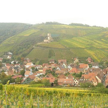 Château de Wineck à Katzenthal