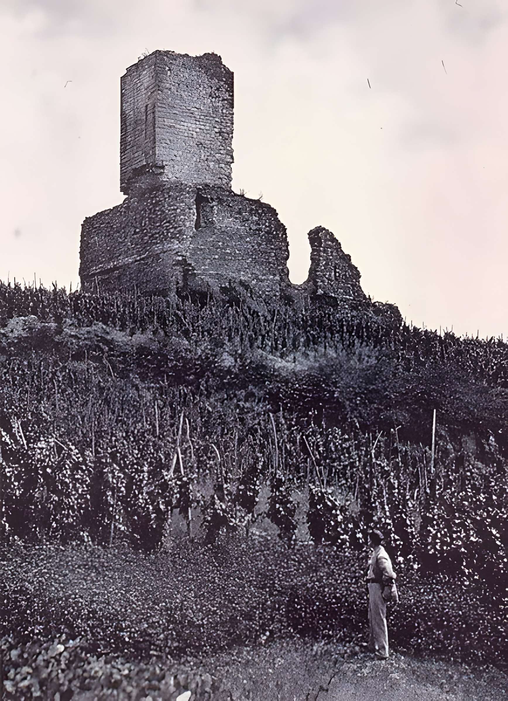 Château de Wineck à Katzenthal