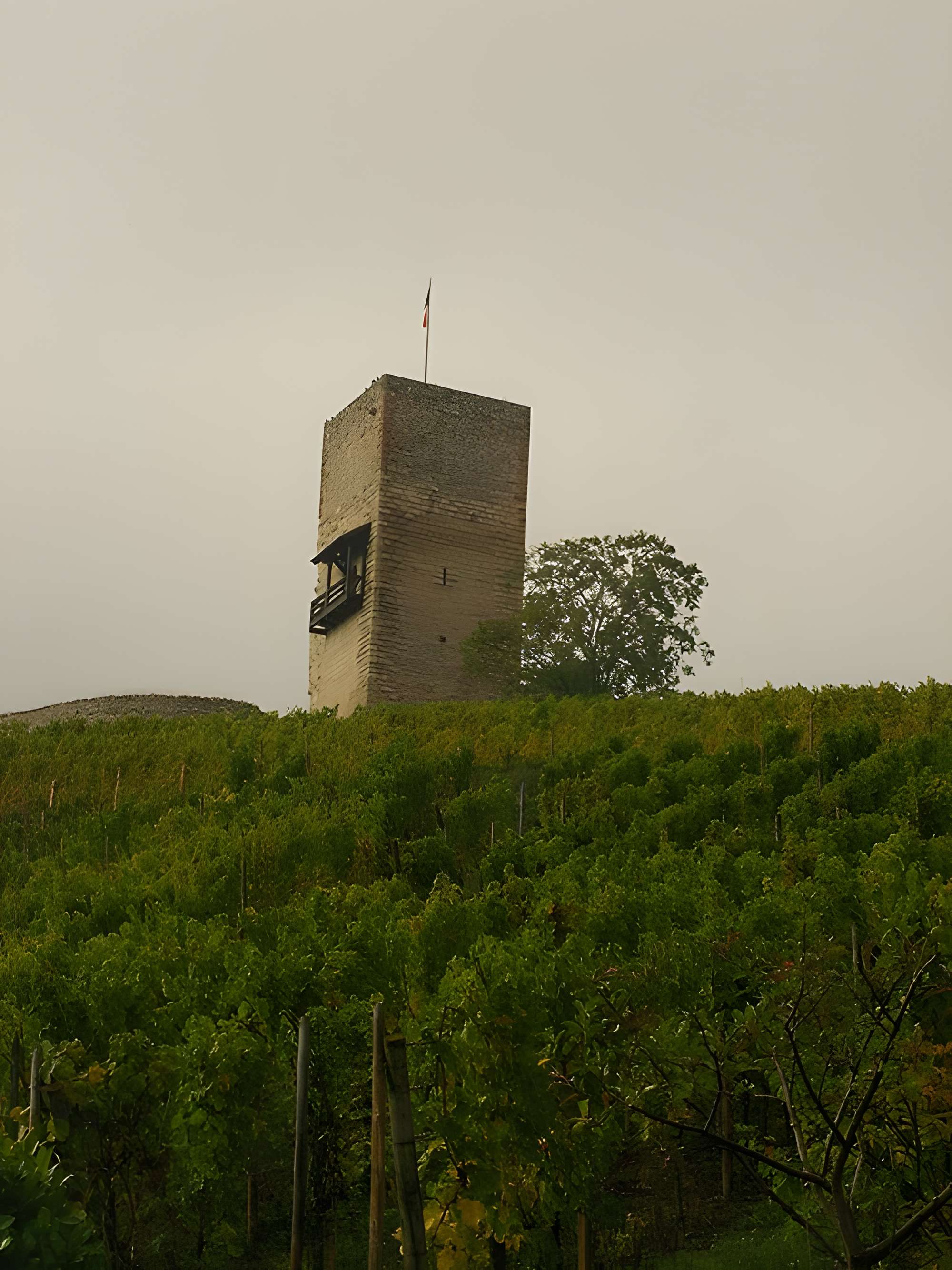 Château de Wineck à Katzenthal