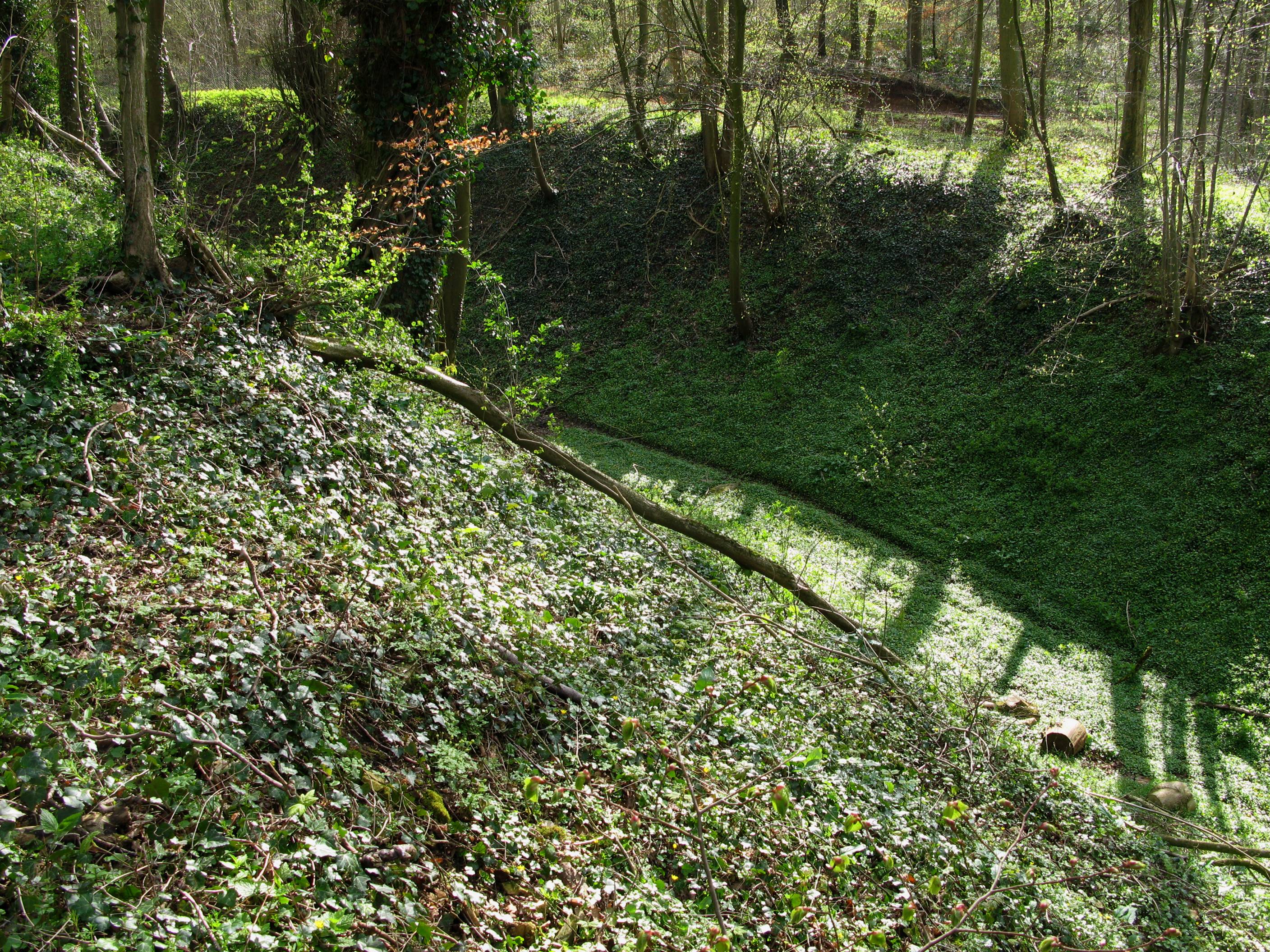 Photo de Motte féodale de Toutencourt