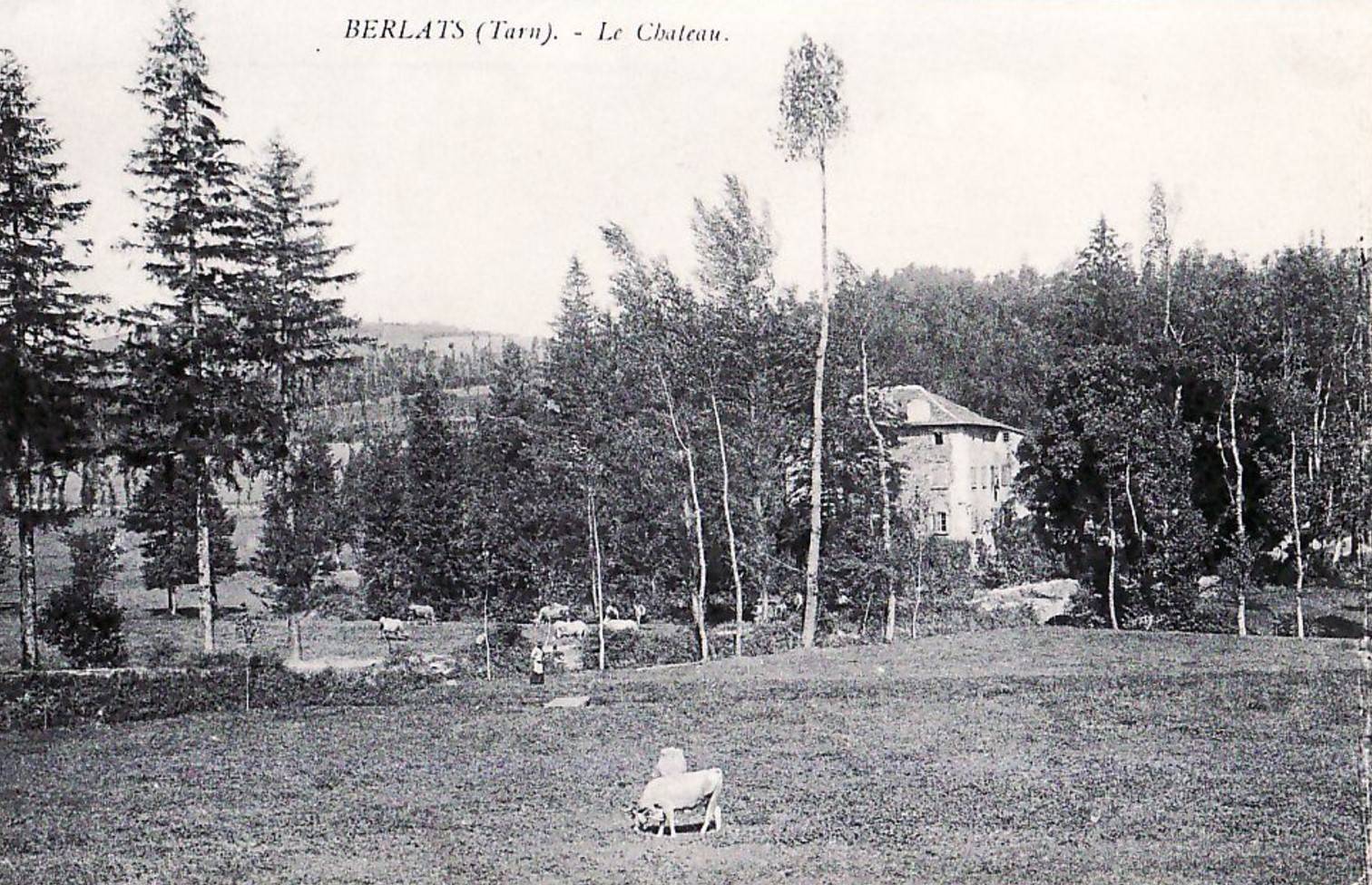 Photo de Castle of Berlats