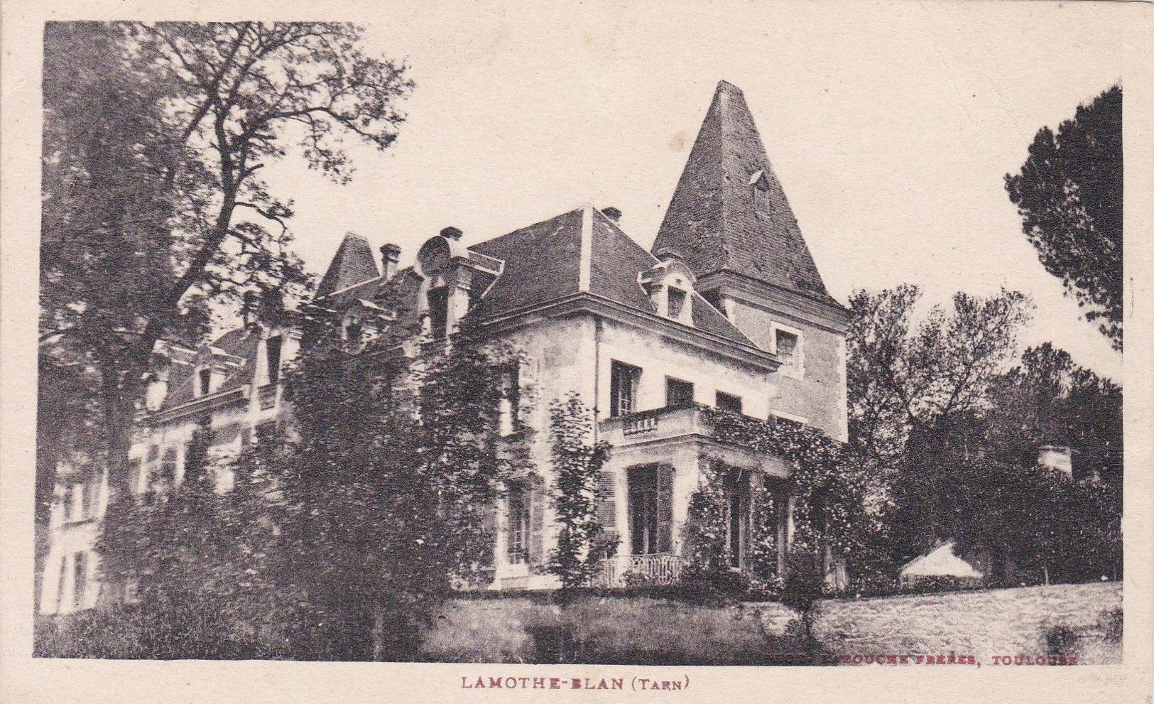 Photo de Château de Lamothe