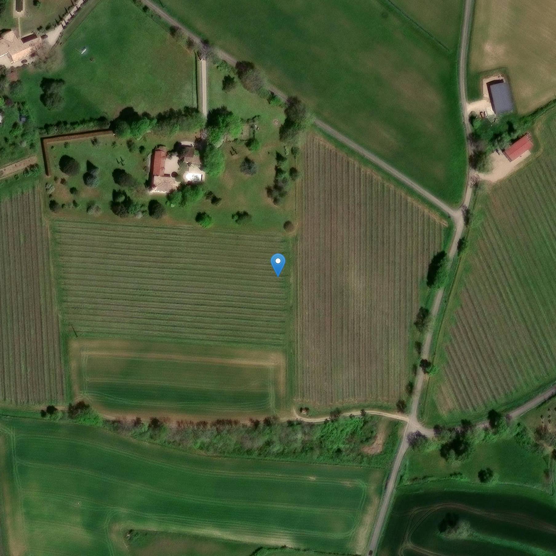 Photo de Château Larroze