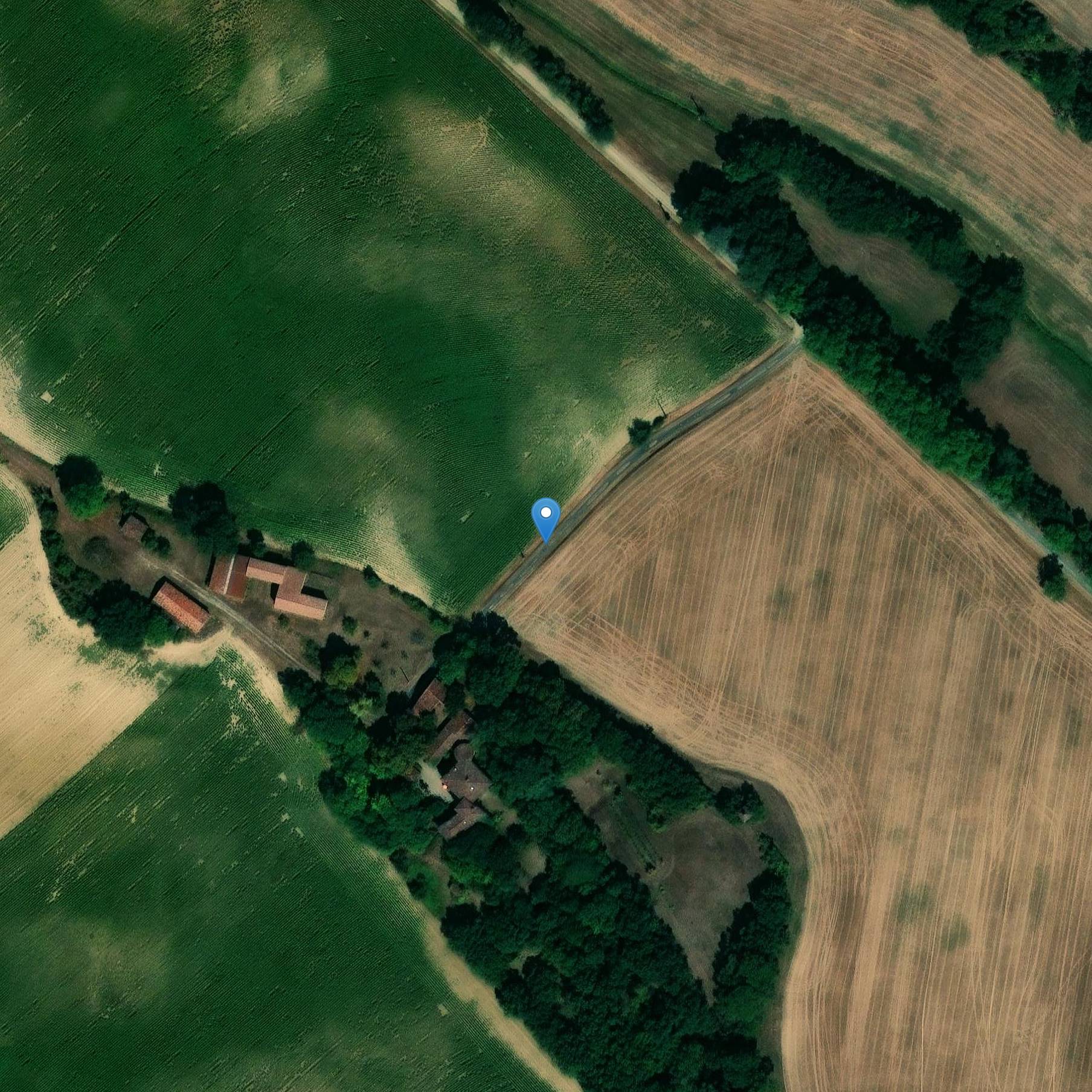 Photo de Château de Latour Douzal