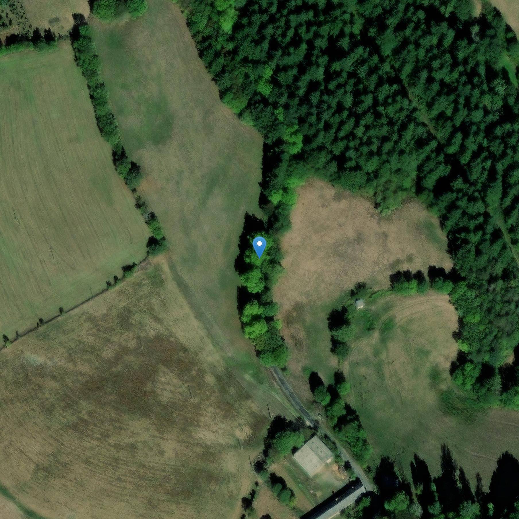 Photo de マスギエ城