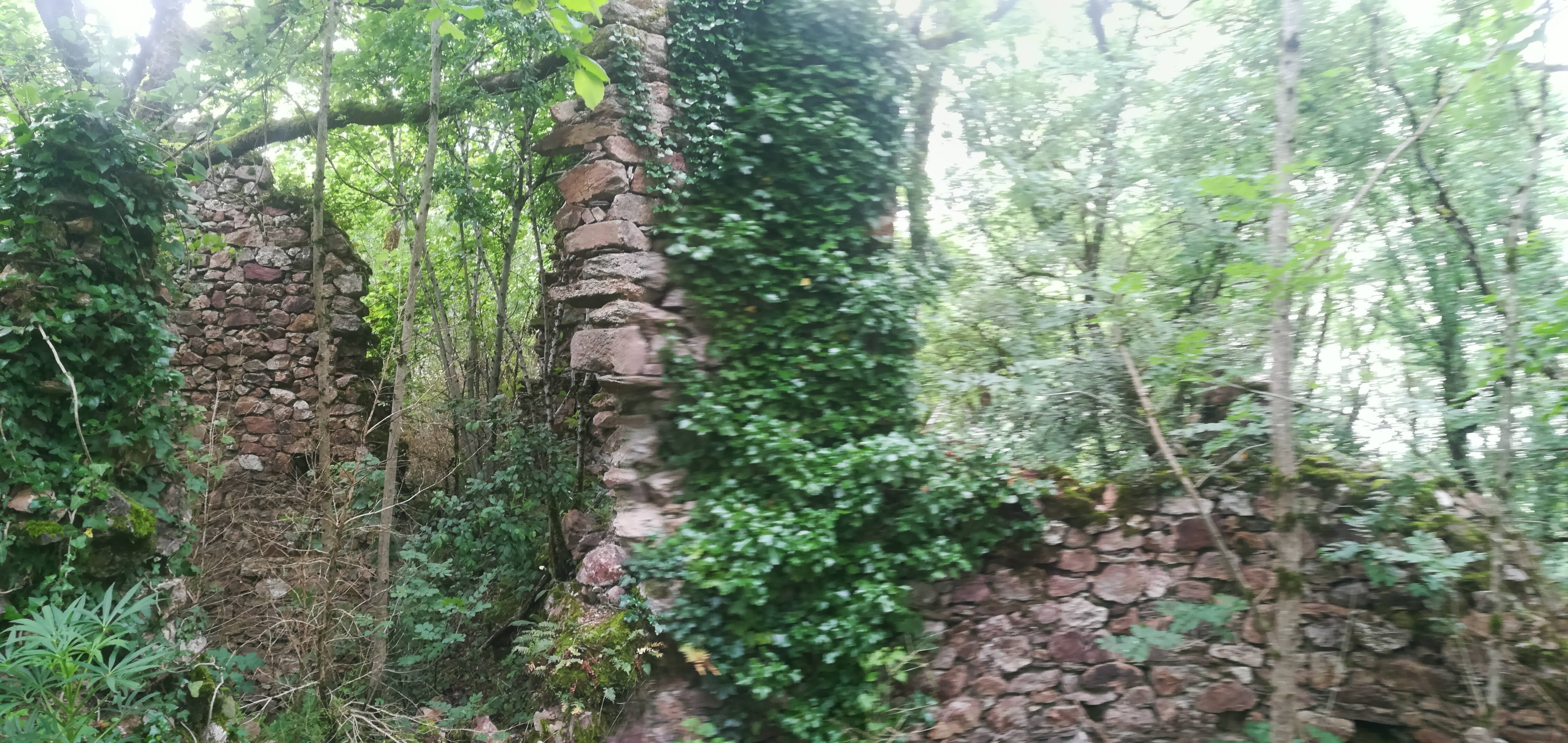 Photo de Château de Montredon