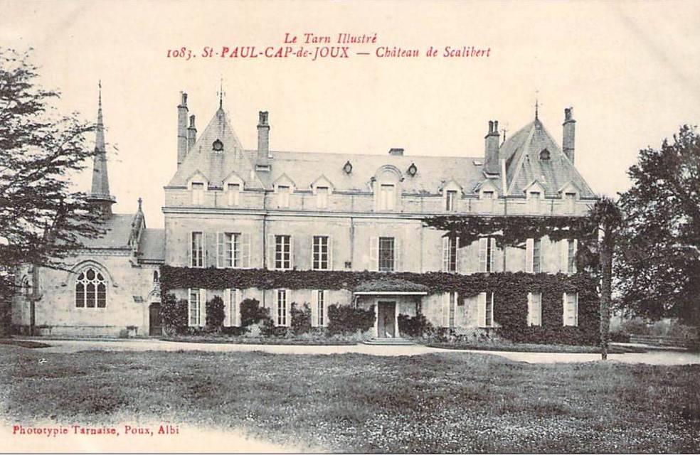Photo de Château de Scalibert