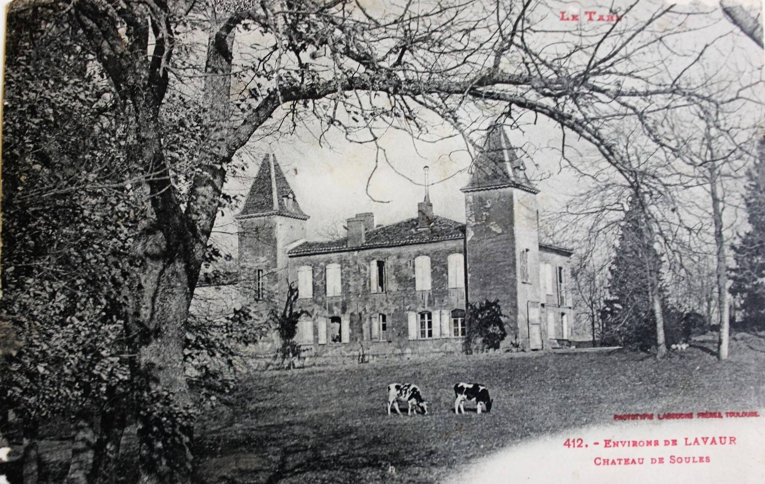Photo de Château de Soules