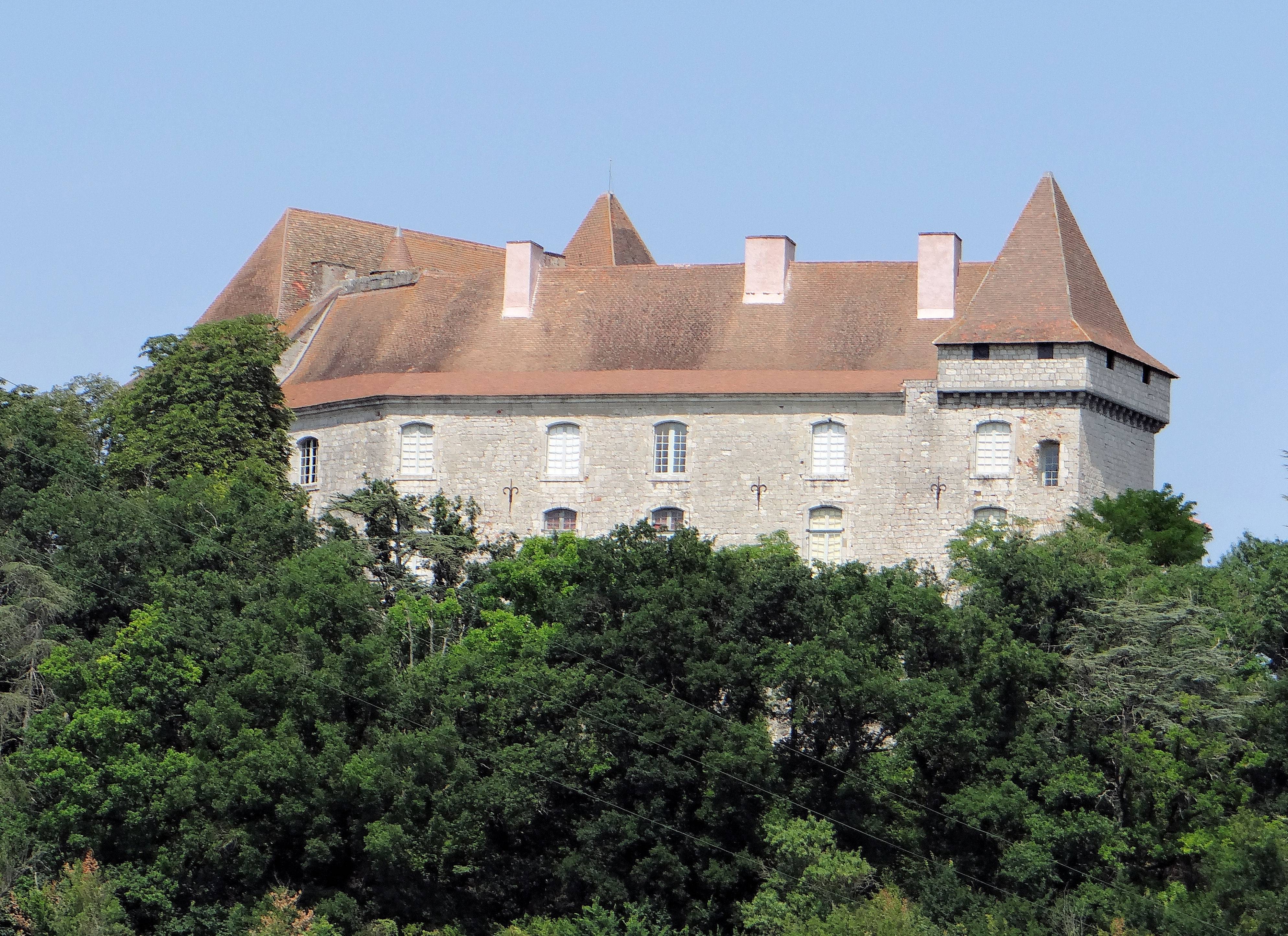 Photo de Château de Goudourville