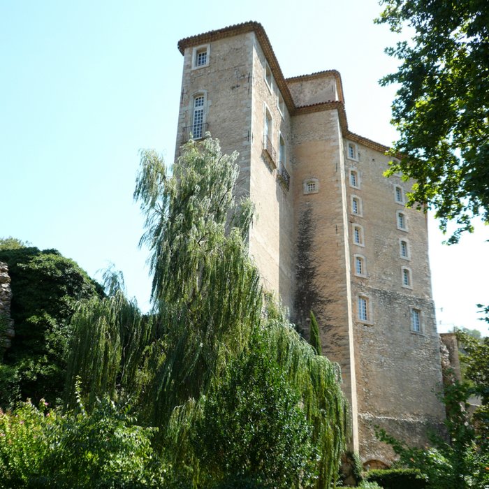 Photo de Château dEntrecasteaux