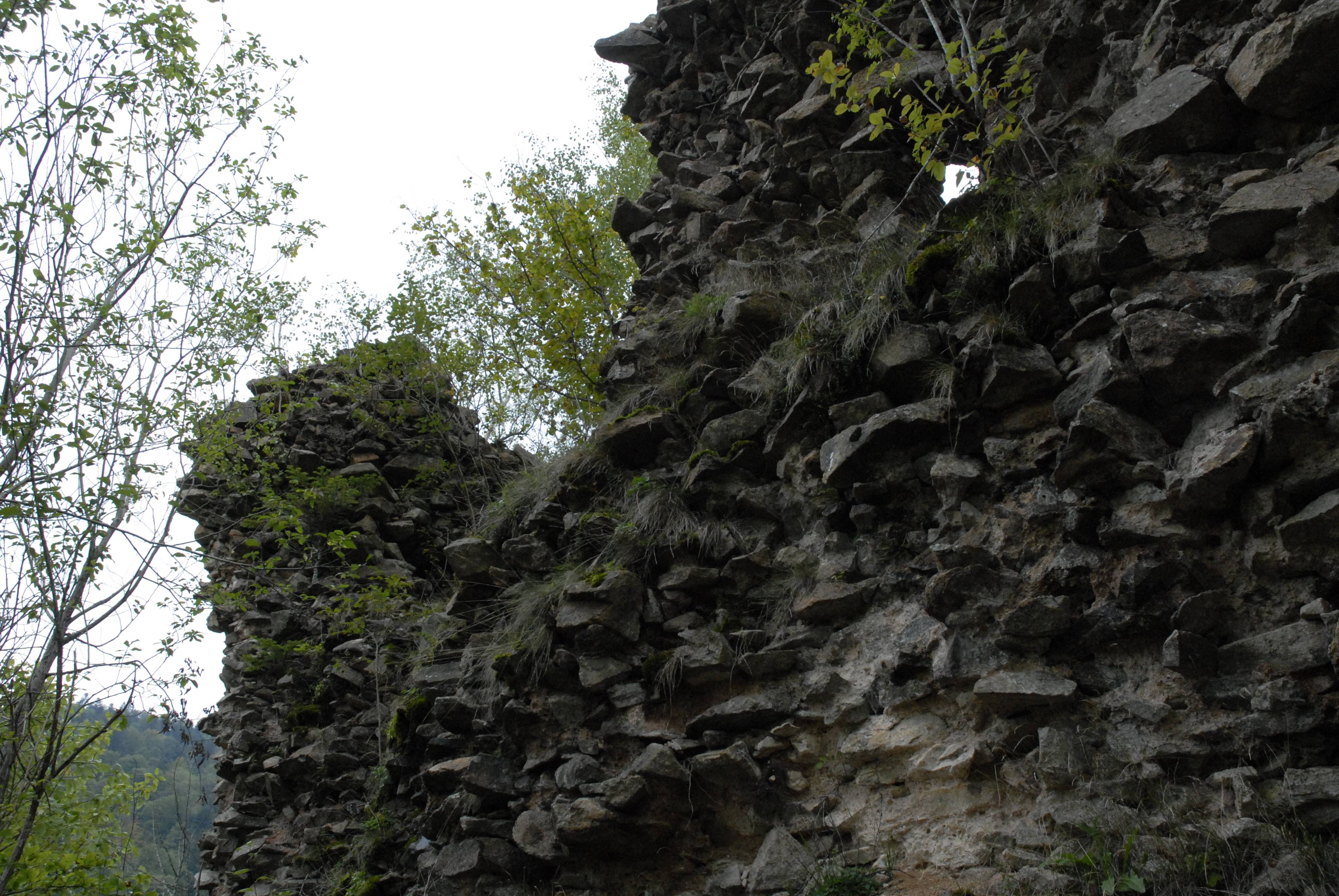 Photo de Château du Rosemont