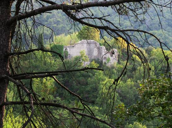 Photo de Château de Mazaugues