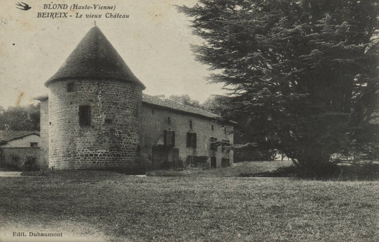 Photo de Château vieux de Beireix
