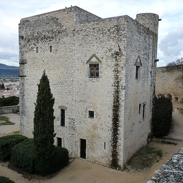 Photo de Musée dart contemporain du château des Adhémar