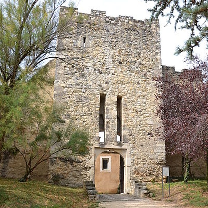 Photo de Musée dart contemporain du château des Adhémar