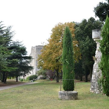 Château des Adhémar