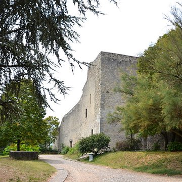 Château des Adhémar