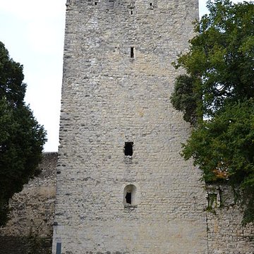 Château des Adhémar