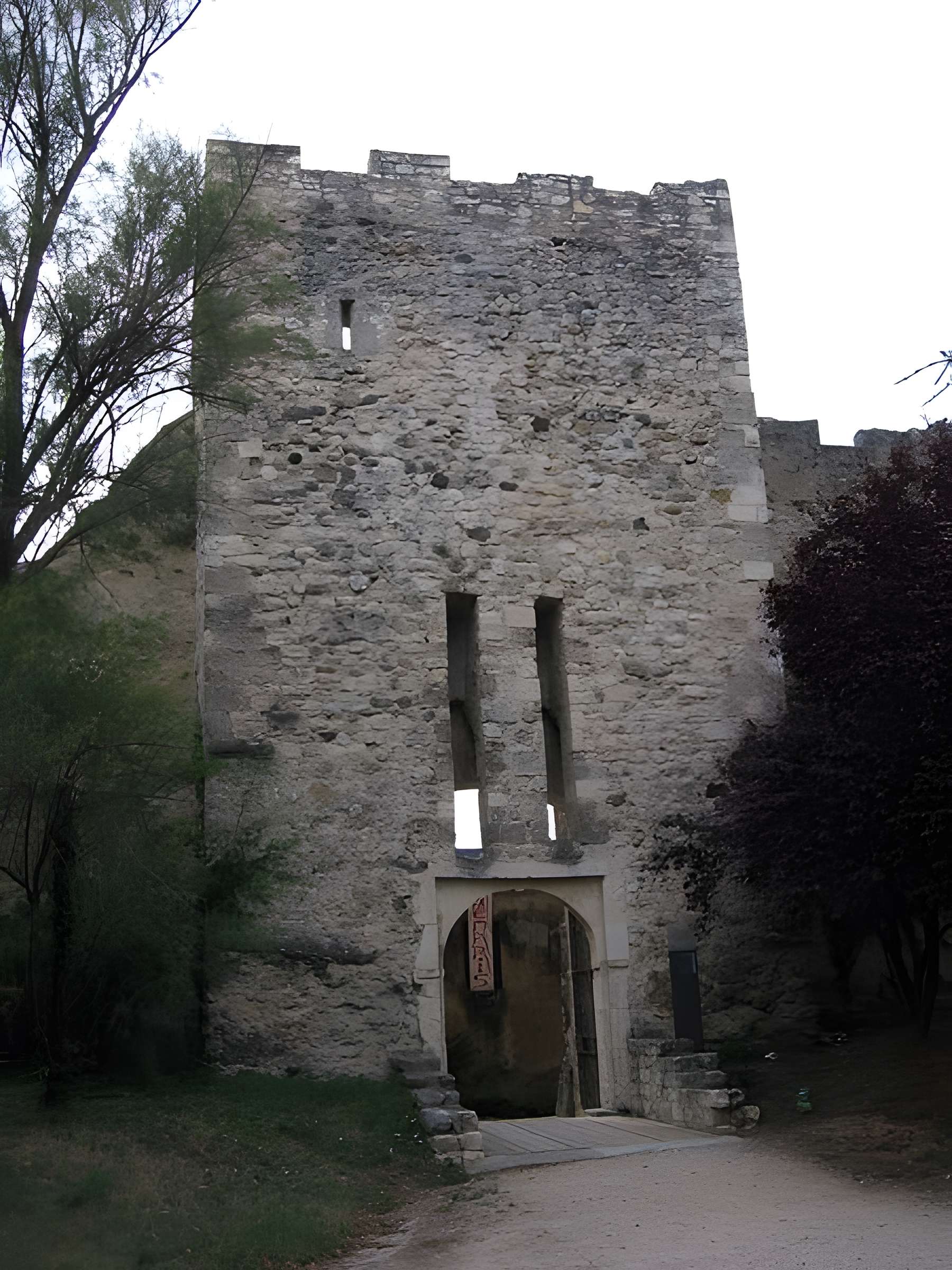 Château des Adhémar