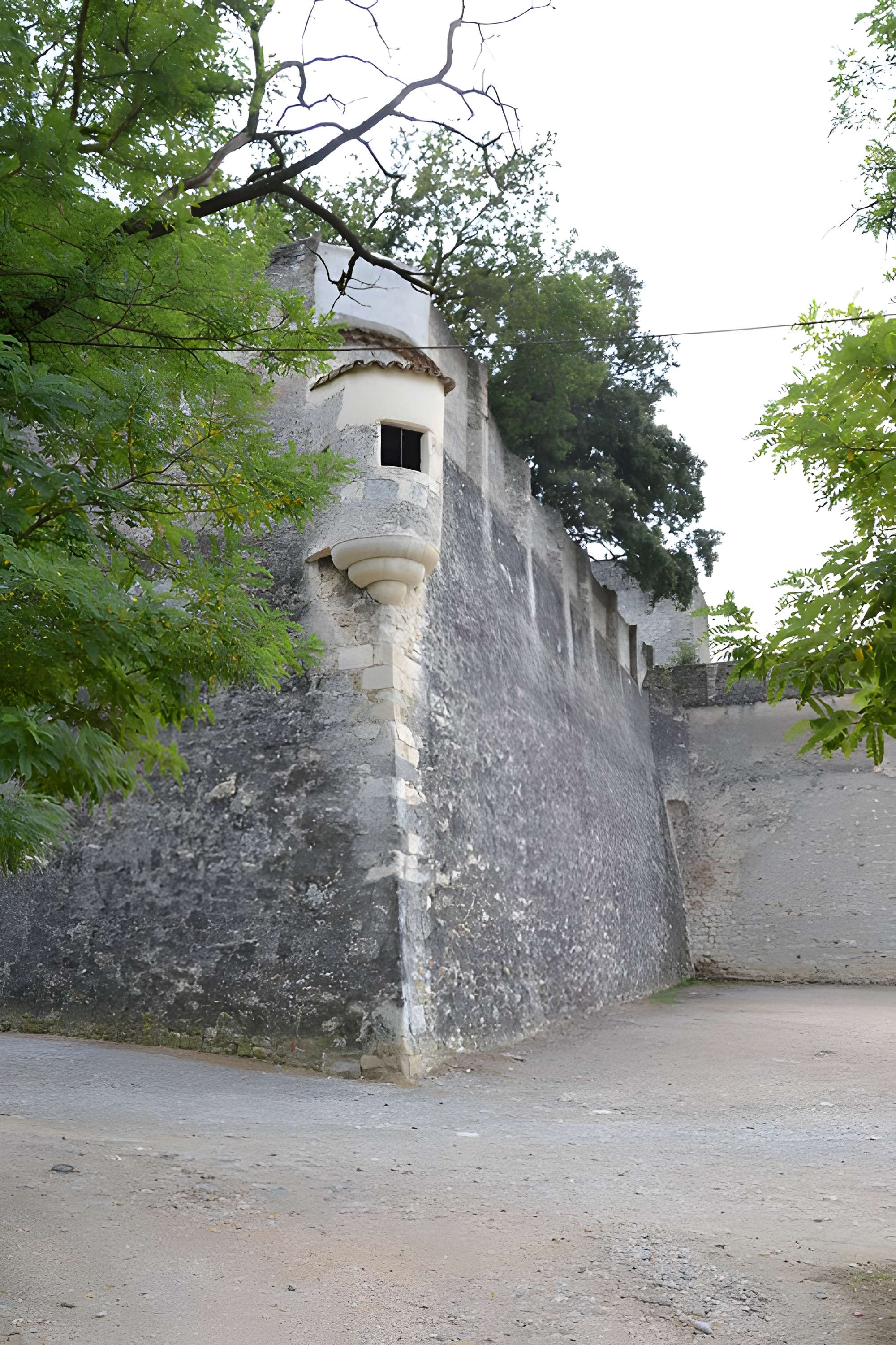 Château des Adhémar