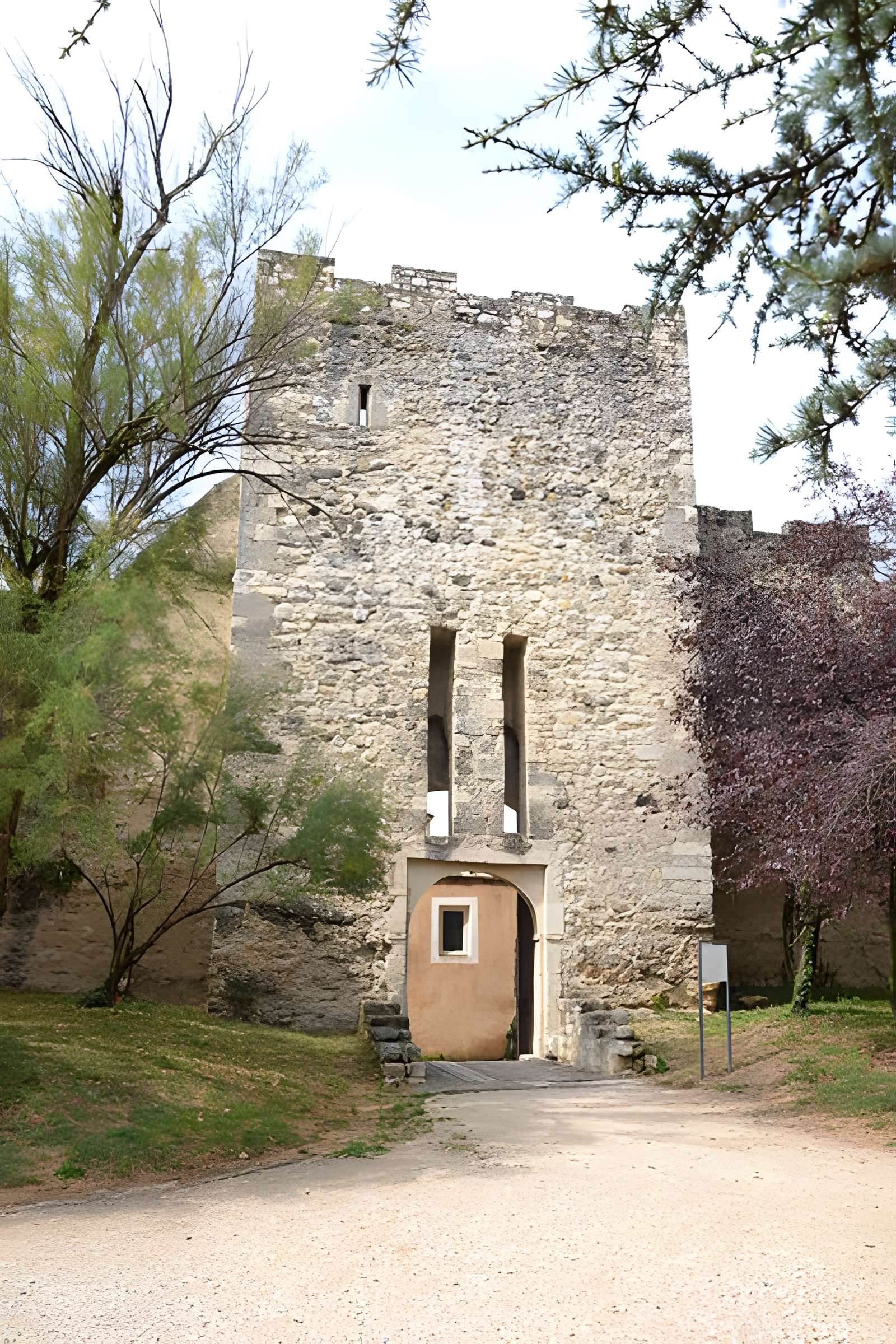 Château des Adhémar