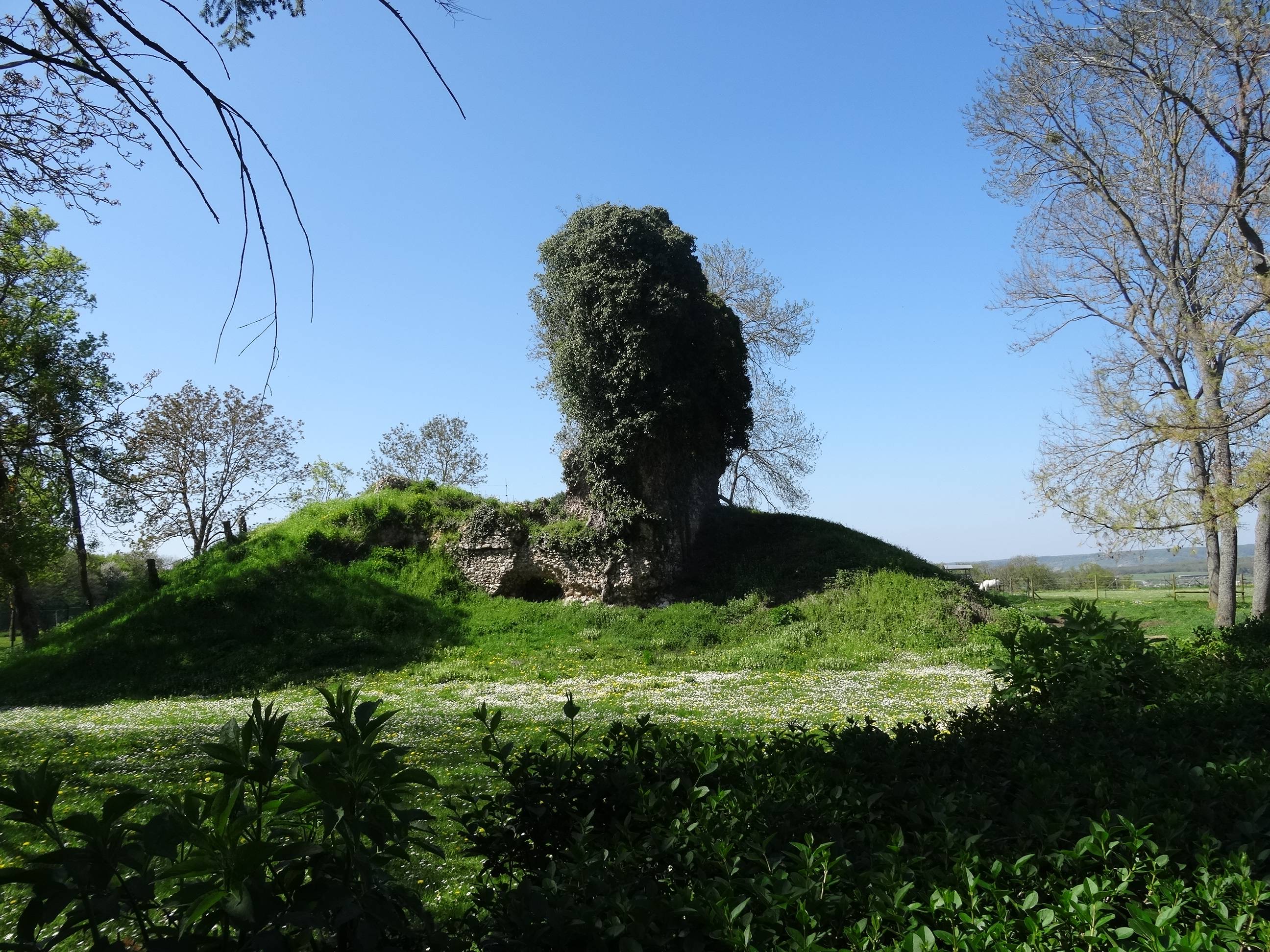 Photo de Tour du Mesnil-Regnard