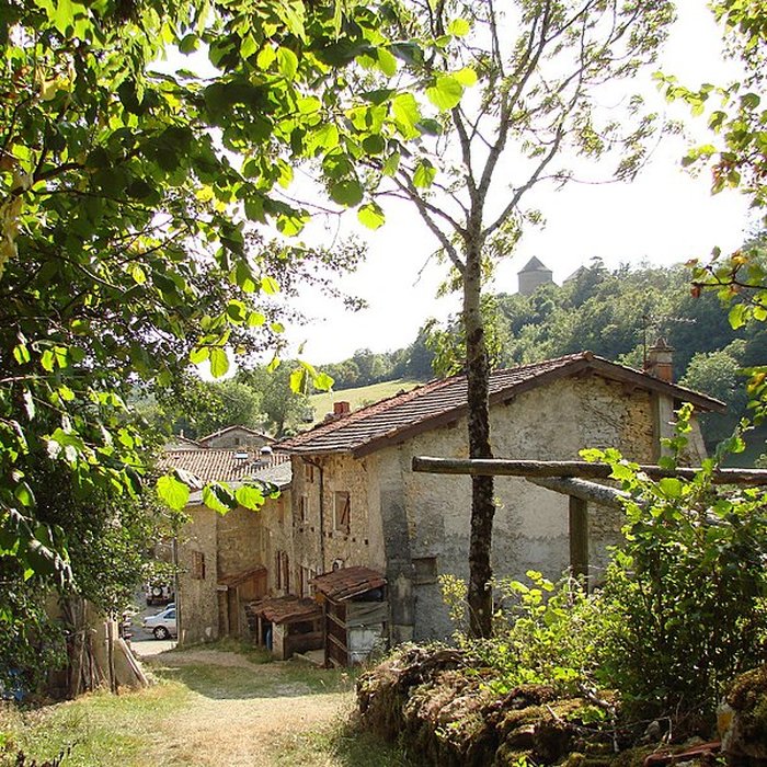 Photo de Château des Allymes