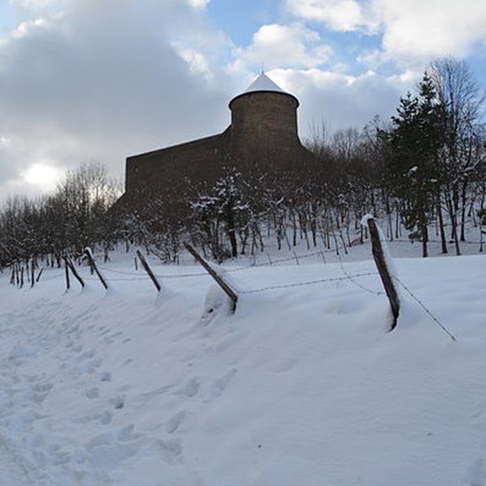 Photo de Château des Allymes