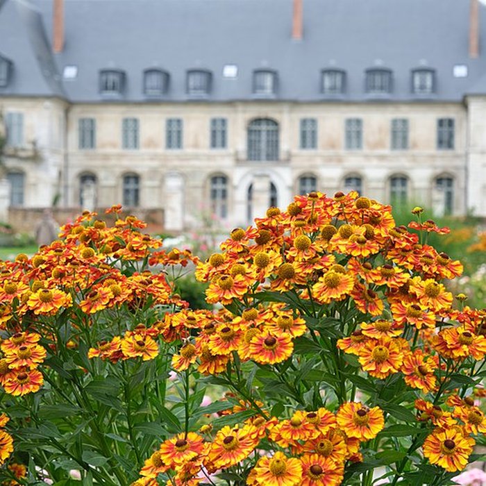 Photo de Abbaye de Valloires