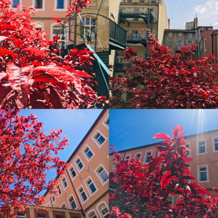Photo de Ancien hôtel Roux de Corse, actuellement lycée Montgrand