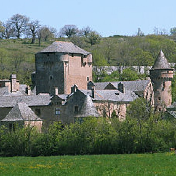 Photo de Château des Bourines