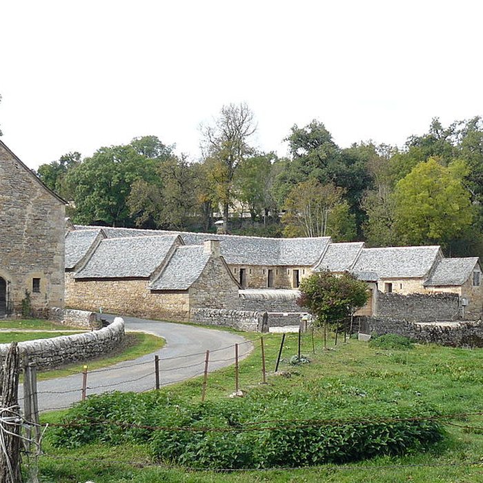 Photo de Château des Bourines
